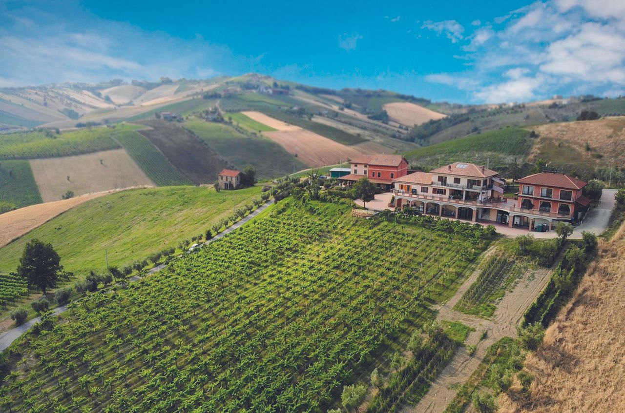 18 вин Cerasuolo d'Abruzzo, які рекомендовані експертами
