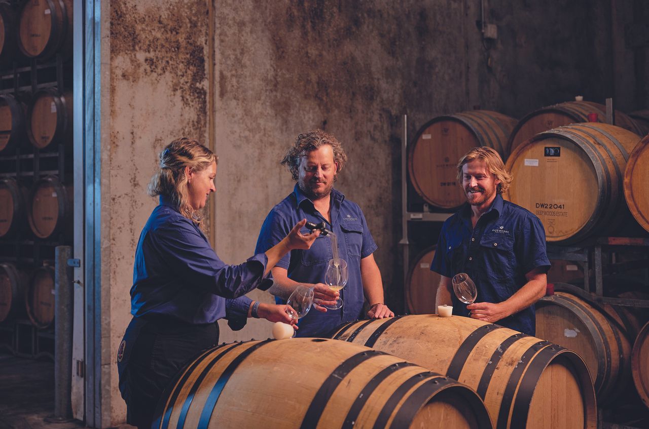 Decanter World Wine Awards 2026: Найкращі виробники